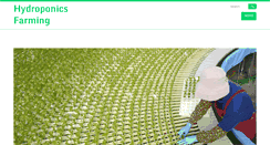 Desktop Screenshot of hydrorusfarm.com